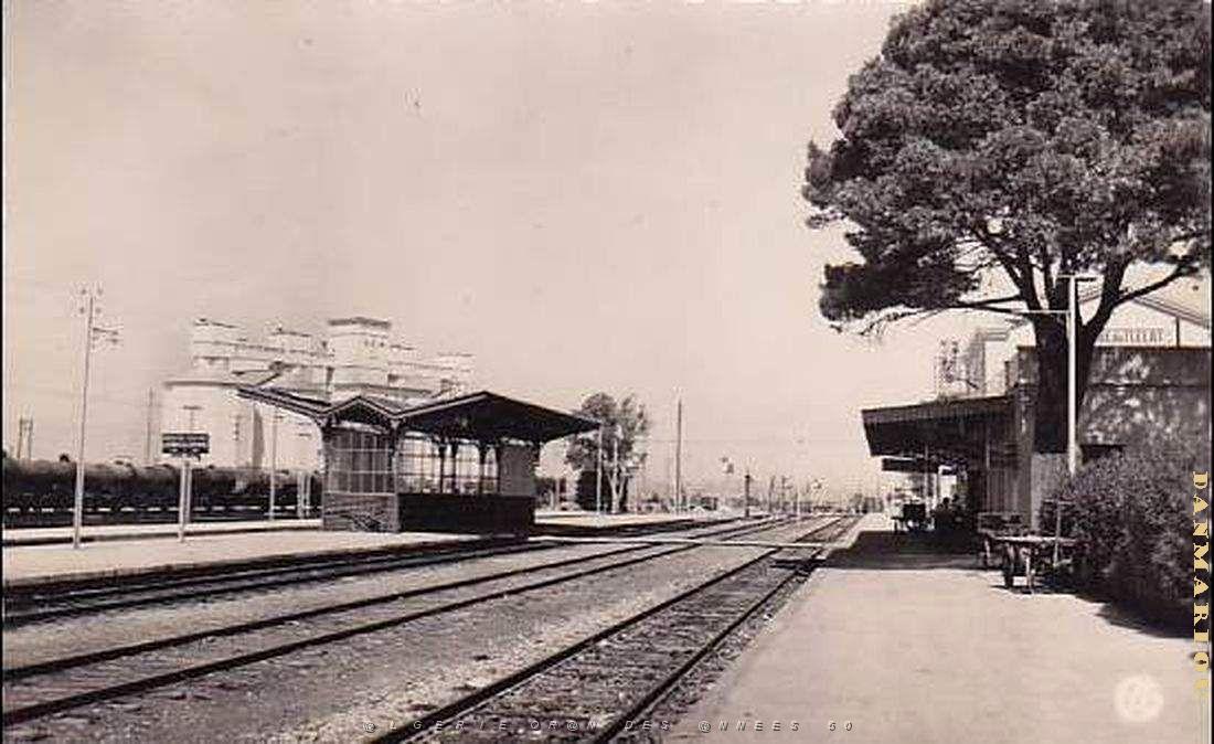 Tlelat 08.jpg